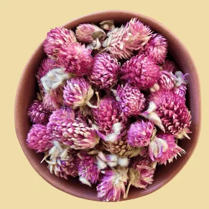 Perpétua roxa, flor